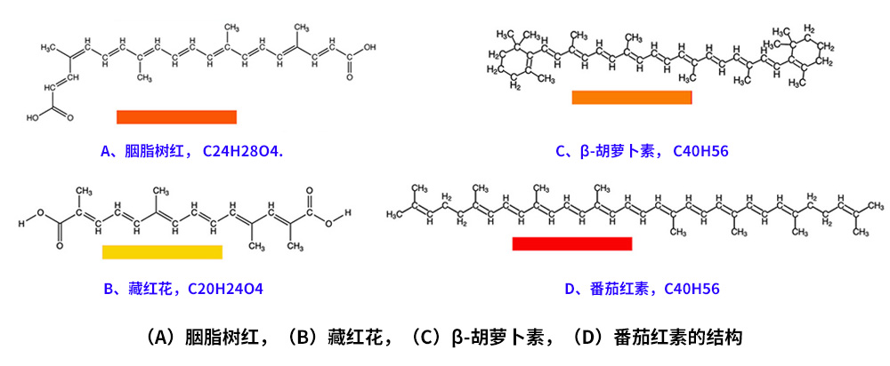 藏紅花、胭脂樹紅、β-胡蘿卜素、番茄紅素的化學(xué)結(jié)構(gòu)